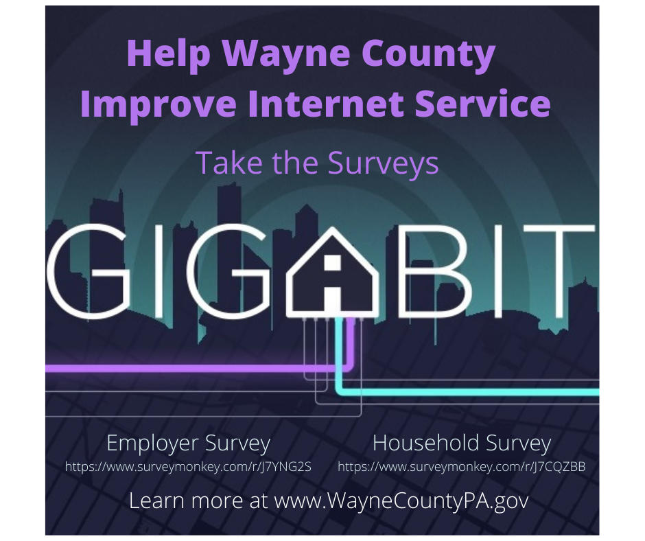 Gigabit Survey